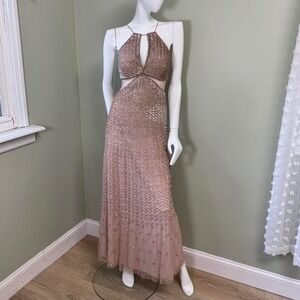 Adrianna Papell Beaded Mesh Cutout Gown – Champagne Blush Pink  Size US 2 | EU 3